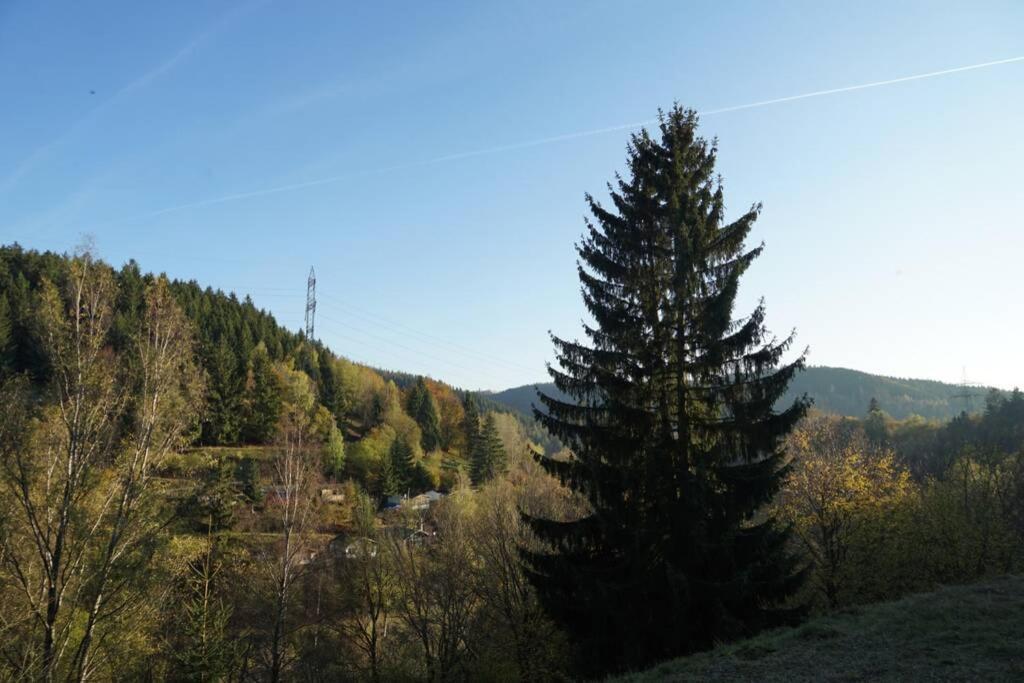 Ferienhaus Hellaberg Langenbach  Buitenkant foto